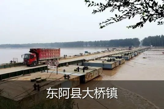 东阿县大桥镇