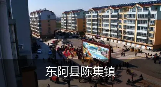 东阿县陈集镇